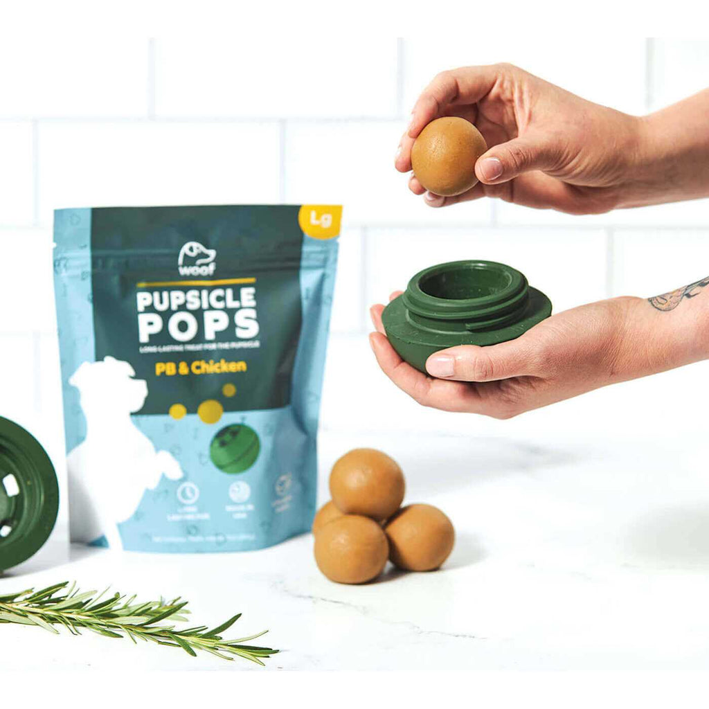 Pupsicle Starter Pack Treat Z4314