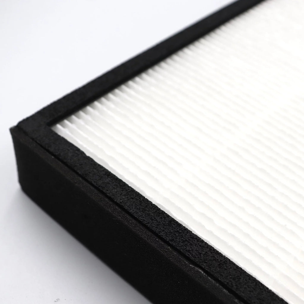 HEPA Carbon Filter Replacement, 2 Pack C63143