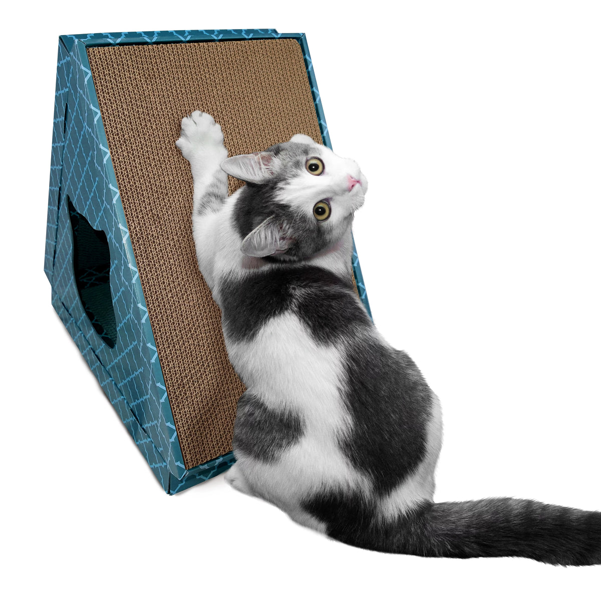Corrugated Cat Scratcher House with Catnip L684191
