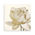 Vintage Lotus Cream II Canvas Giclee E1943
