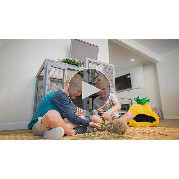 Indoor Outdoor Rabbit Animals R725