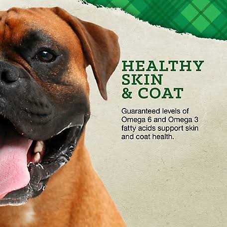 Large Breed Puppy Chicken & Brown Rice V60856