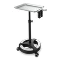 Adjustable Height Aluminum Salon Tray Cart with Accessory Caddy L954809