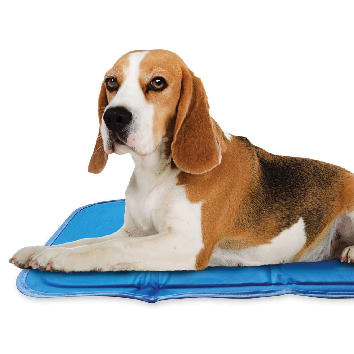 Cool Pet Pad T4406