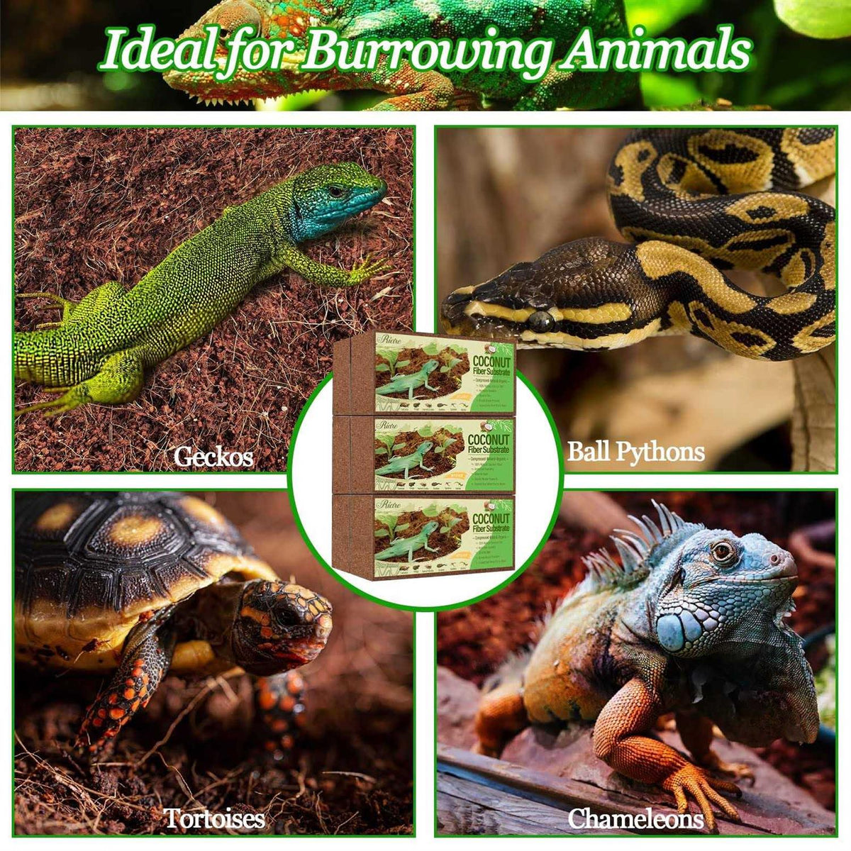 Natural Coconut Fiber Reptile Terrarium Bedding Z9843