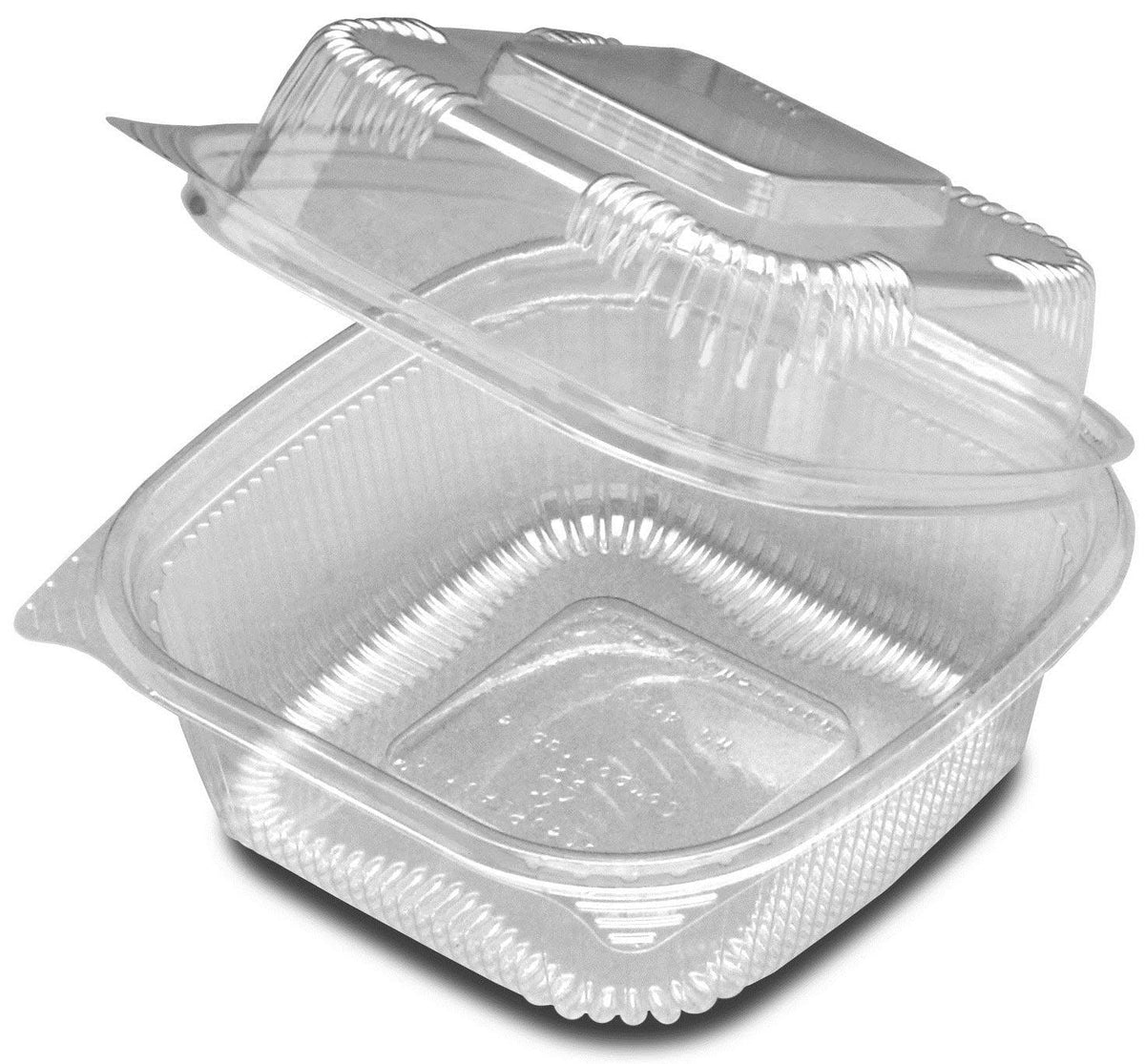 6 inch Plastic Hinged Container P84811