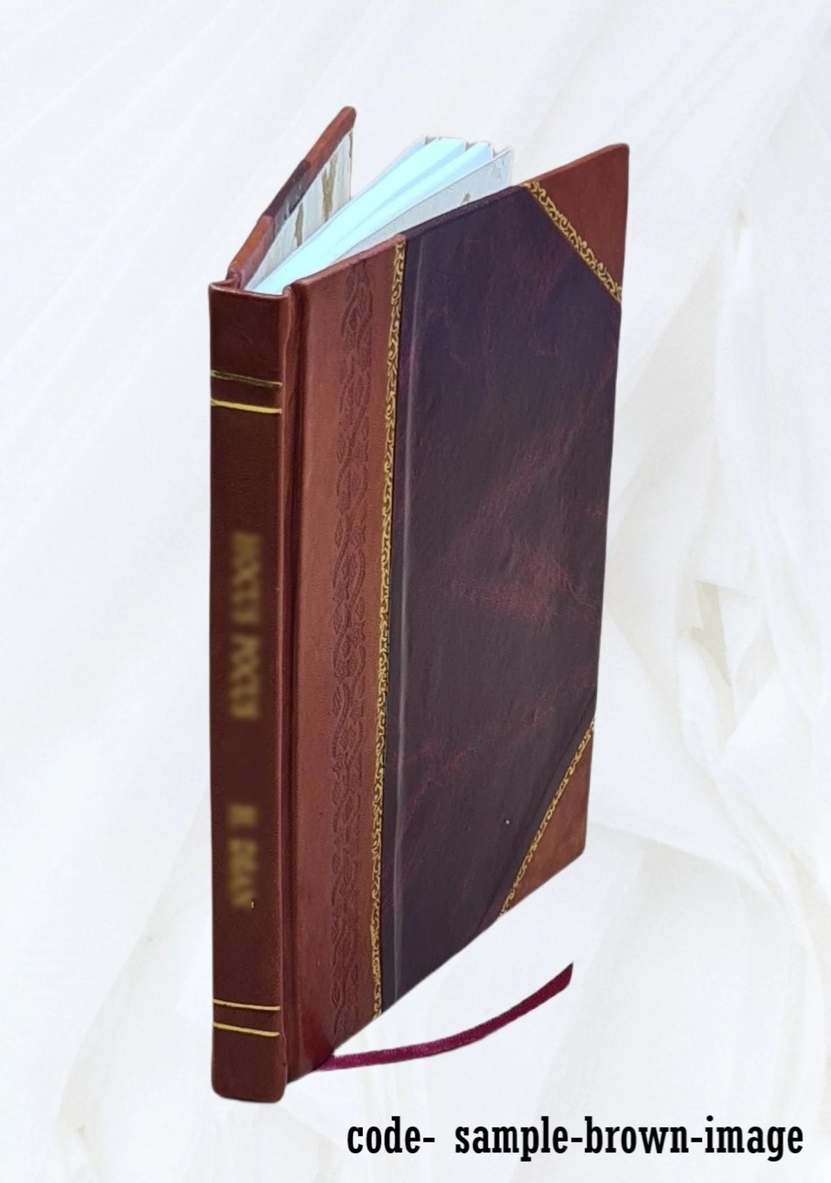 Leather Bound Book R6115