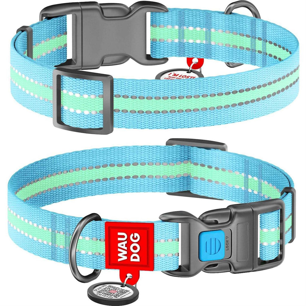 Glow in the Dark Nylon Dog Collar Blue F6224