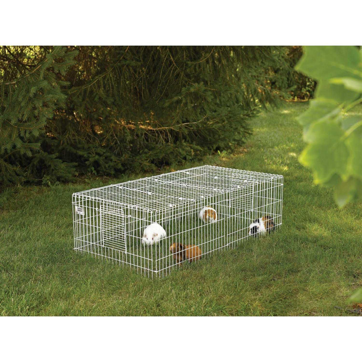 Guinea Pig Habitat F464096