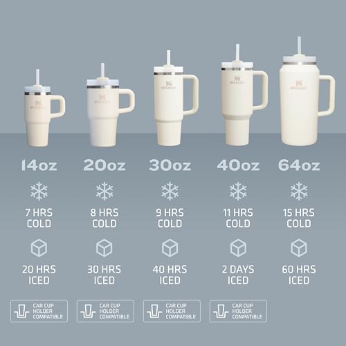40 oz Insulated Stainless Steel Tumbler with Straw W711053
