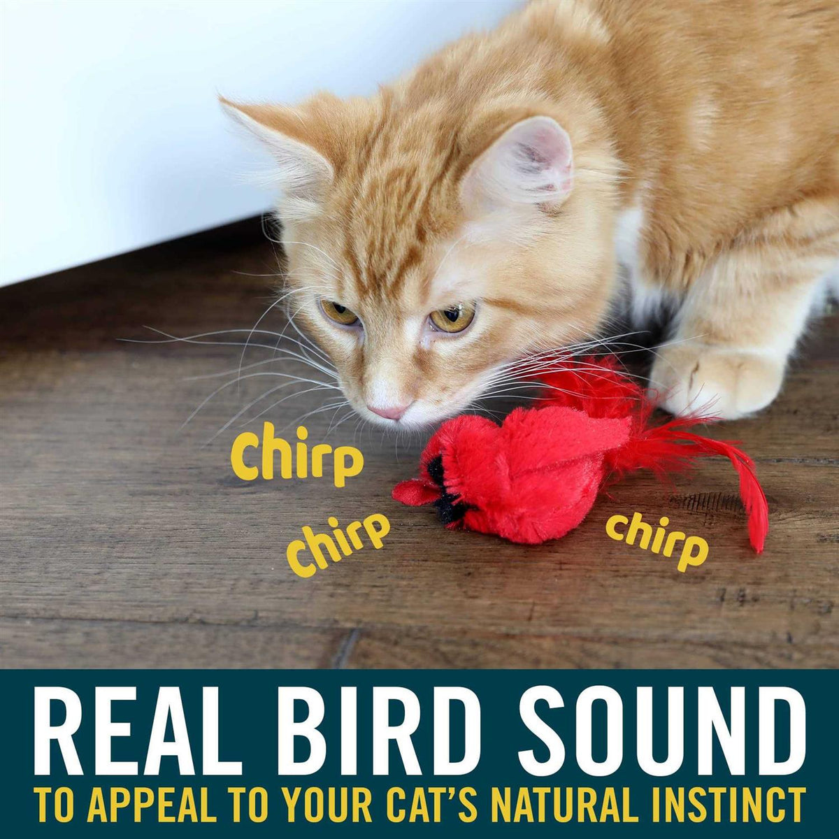 Cat Toy D860949