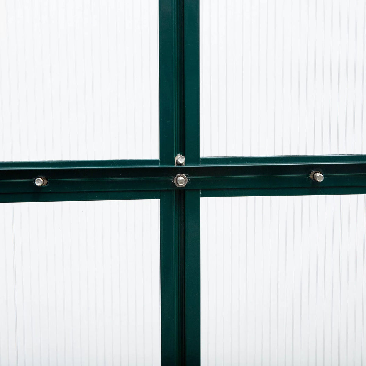 6' x 10' x 7' Polycarbonate Walk-in Greenhouse Y49097