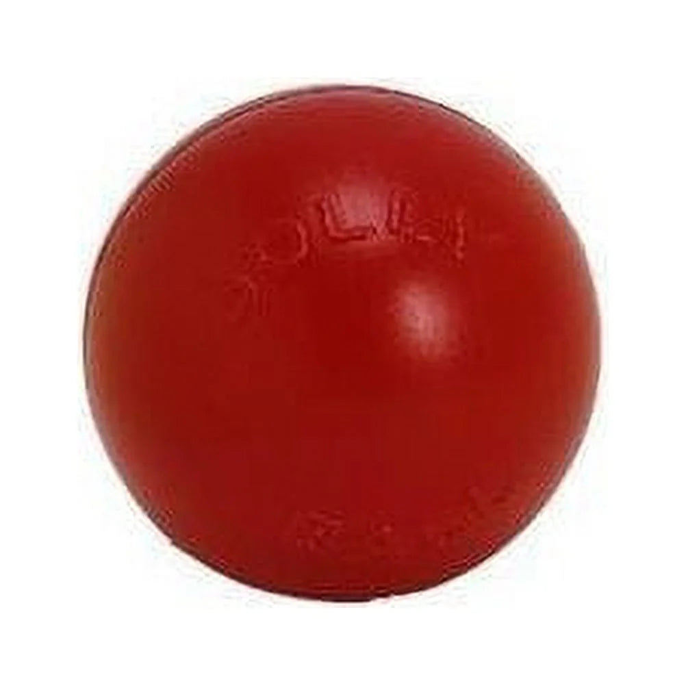 Red 10 inch Hard Plastic Chew Toy for Dogs O669