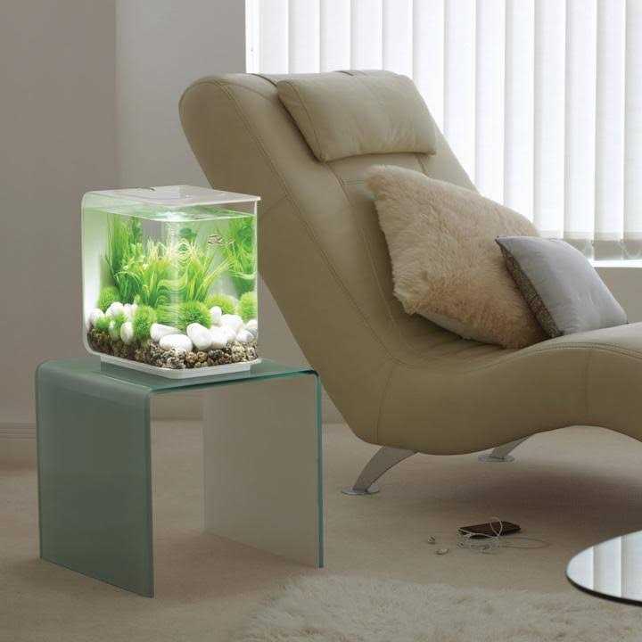 FLOW LED Pet Supplies M7279
