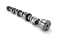 Hydraulic Roller Camshaft B387982