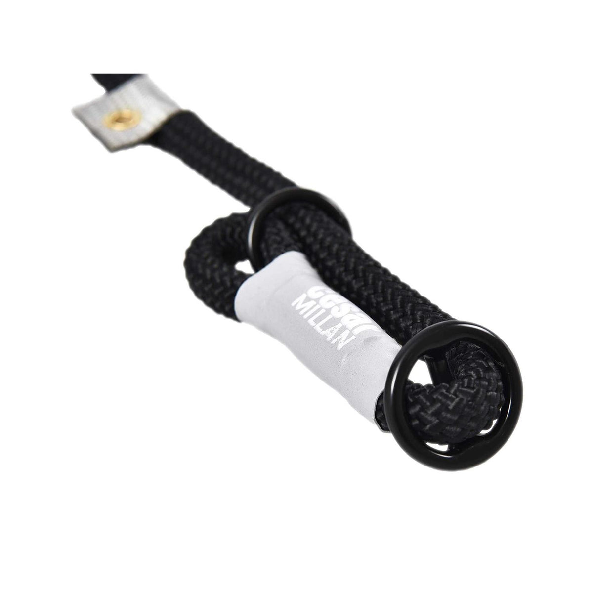 2-in-1 Slip Collar Dog Training Lead & Collar S5706