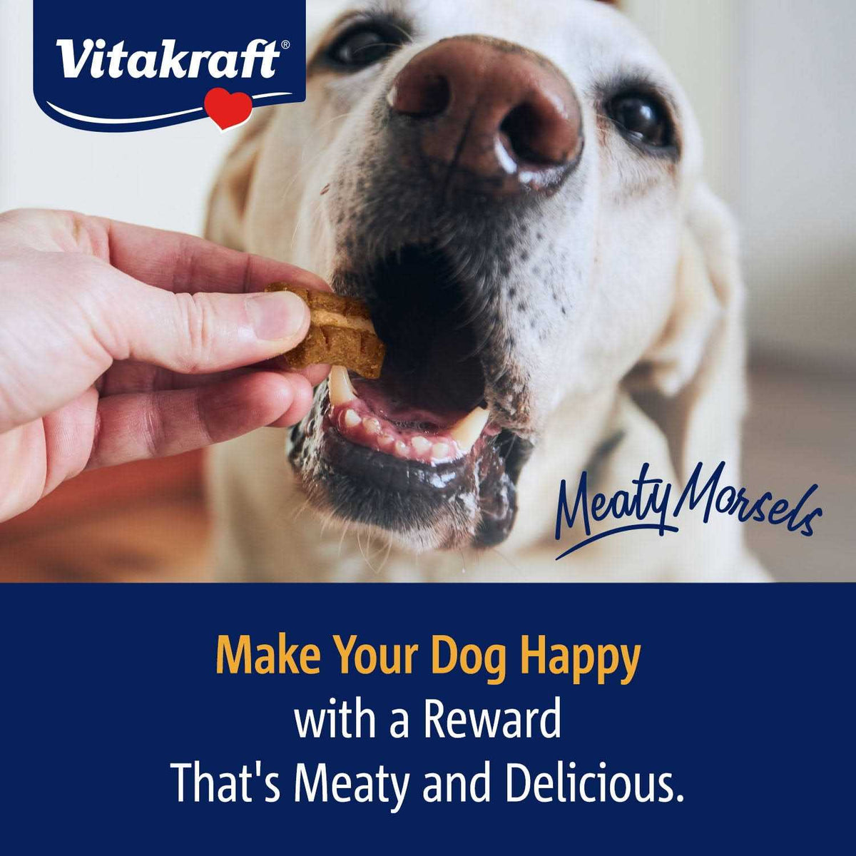 Chicken Recipe with Beef & Carrots Dog Treat U621