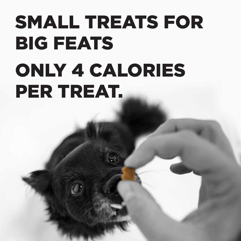 Dog Treats E6863