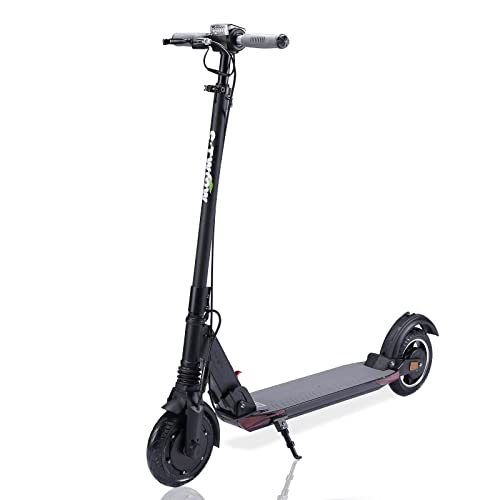 Electric Scooter Lightweight Foldable Q10102