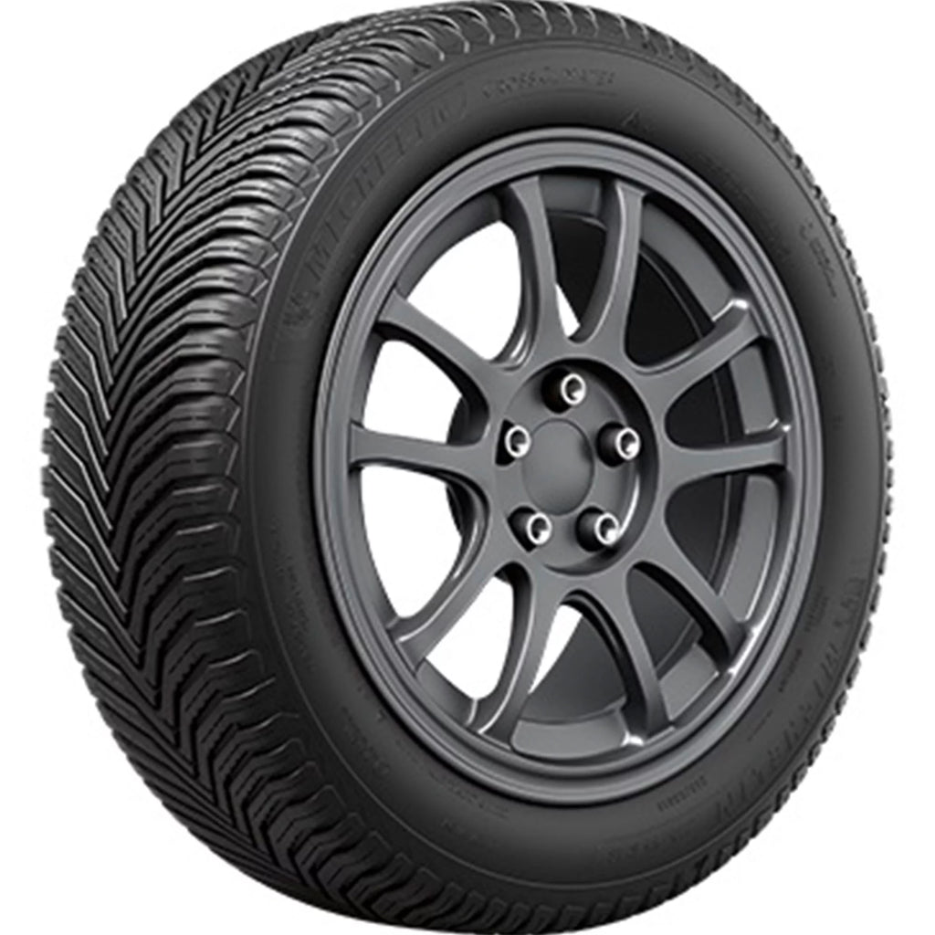 All Weather 205/55R16 91V Tire C71558
