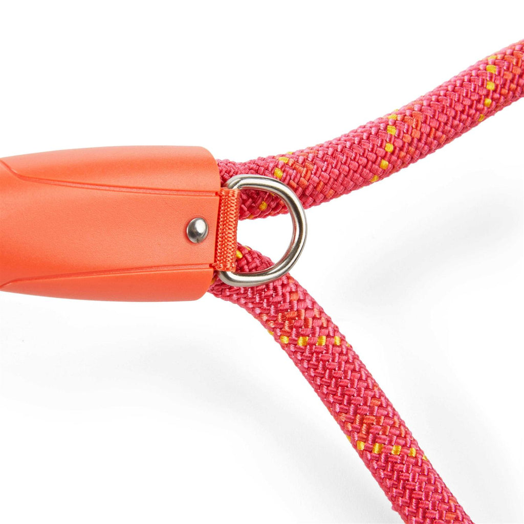 Pink & Orange Dog Lead T444182