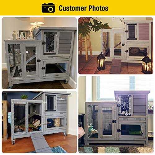 Indoor Outdoor Rabbit Animals R725