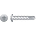 Phillips Pan Head Screws Zinc Plated Box of 5 000 A4761