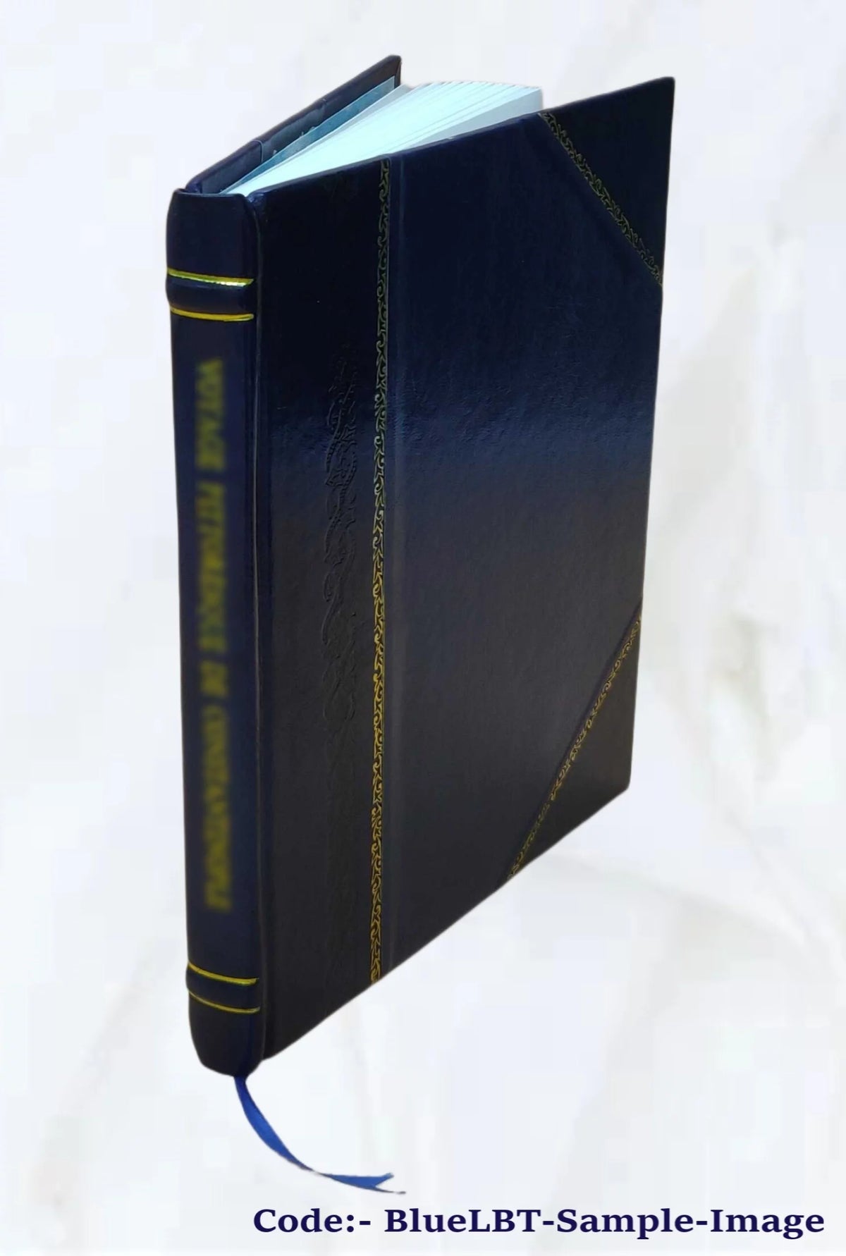 Radio and electronic dictionary Leather Bound A428