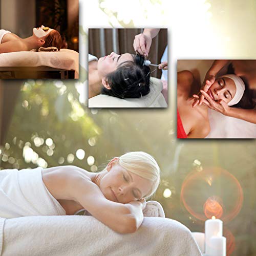Portable Massage Table 24 inche Wide 2 Folding Heigh Adjustable Spa Table V6629