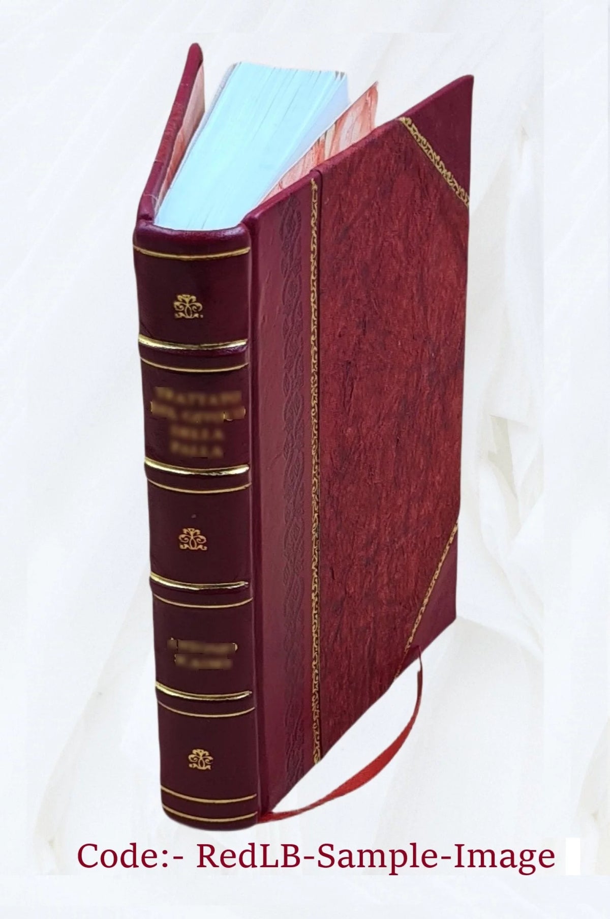 Satyricon, Lusus in Priapum, Errones Venerei, Pervigilium Veneris, Epigrammata T5387