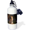 21oz Sports Water Bottle J94133
