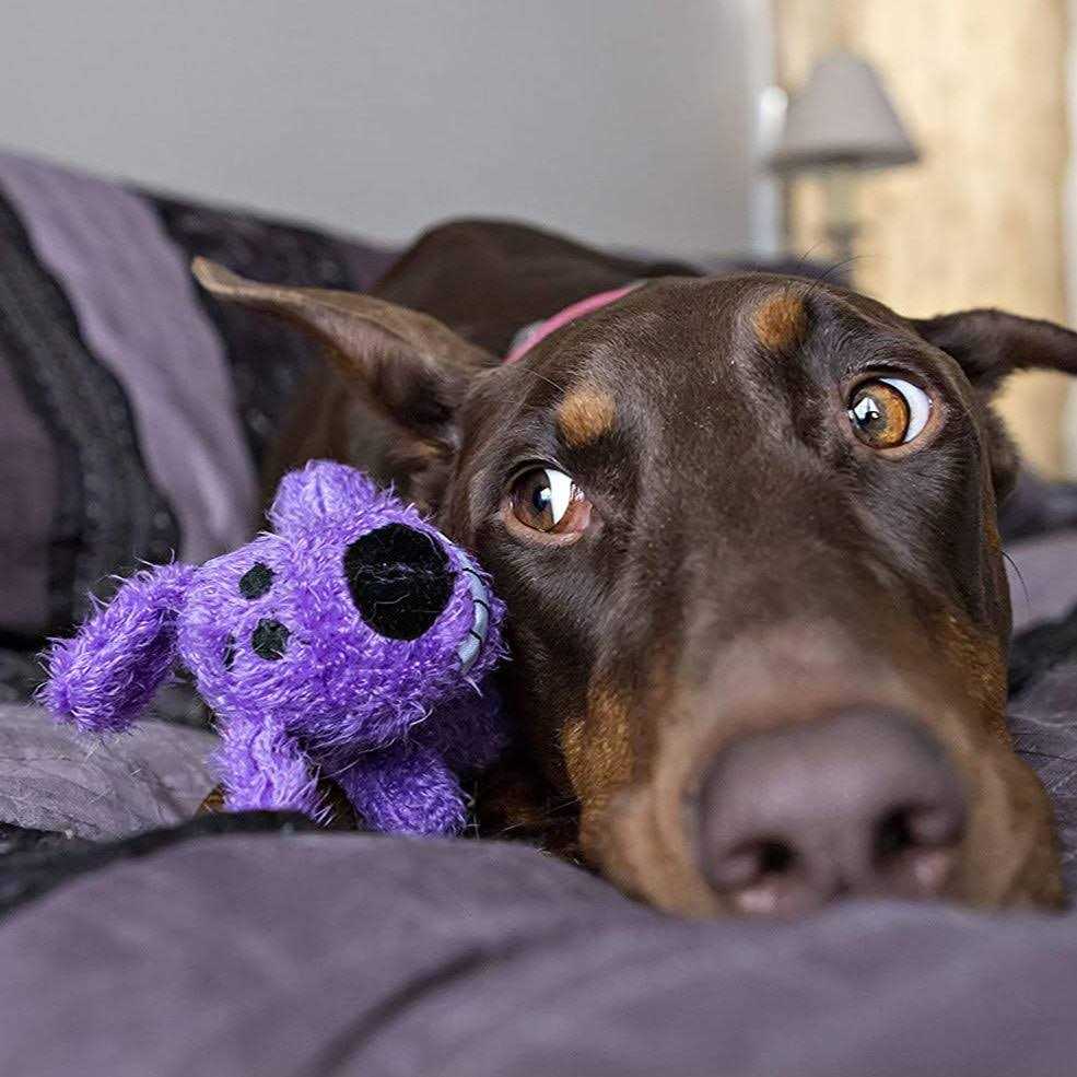 Dog Toy S568