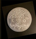Selenite Charging Plate 8" D316385