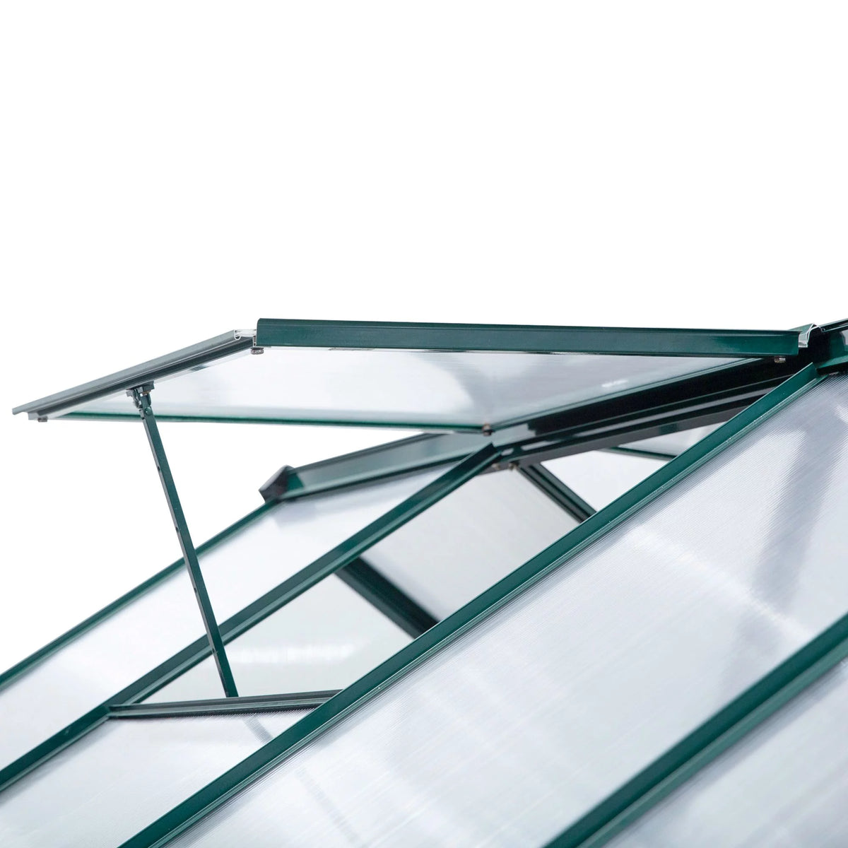 6' x 10' x 7' Polycarbonate Walk-in Greenhouse Y49097