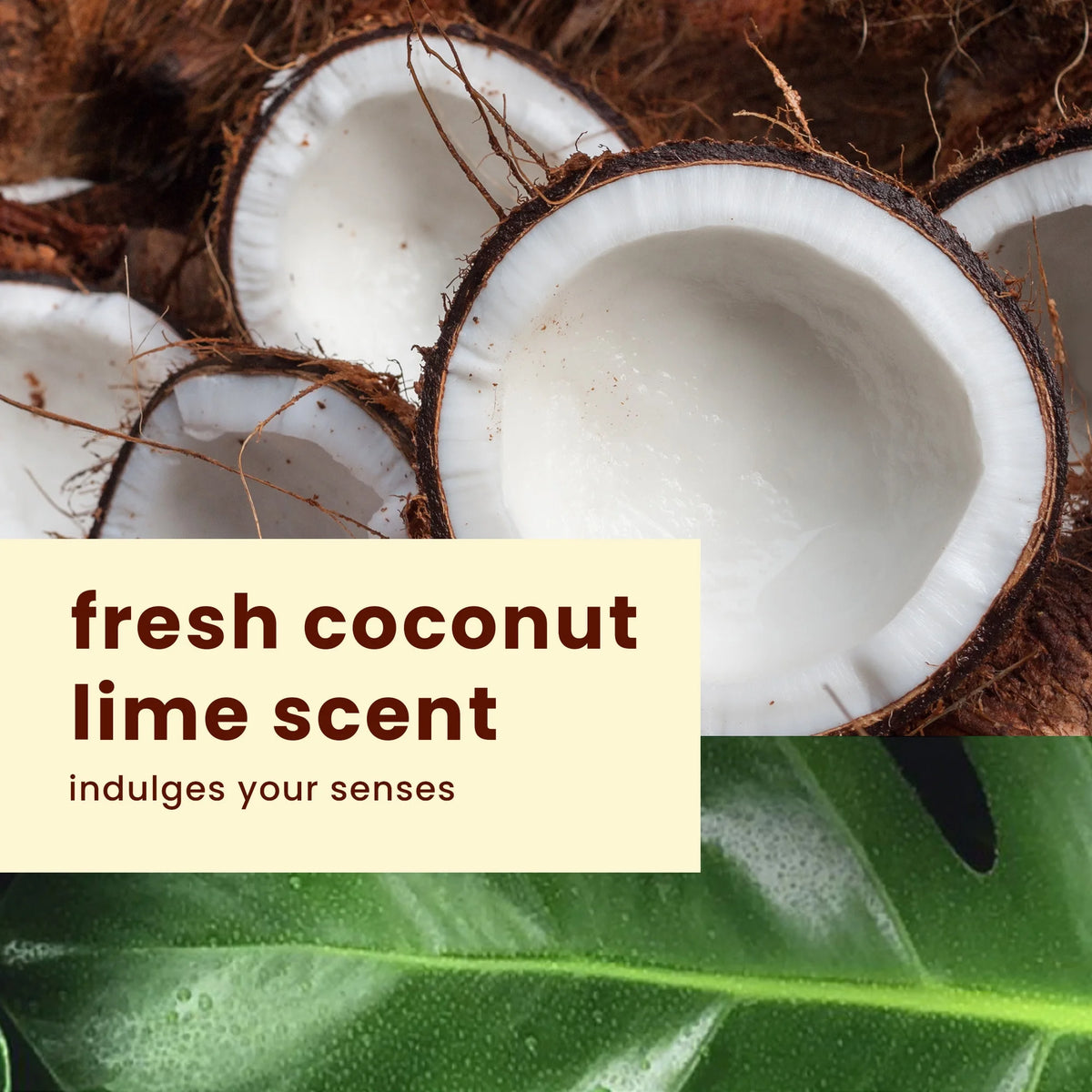 After Sun Moisturizing Lotion with Shea & Cocoa Butters L1481