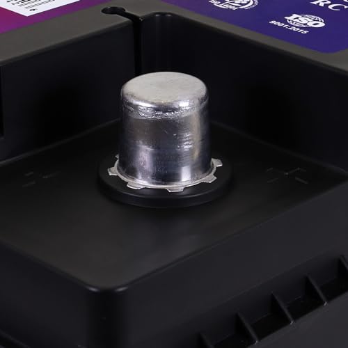 AGM Car Battery, Group Size 47, 12V 60 AH, 680 CCA W754689