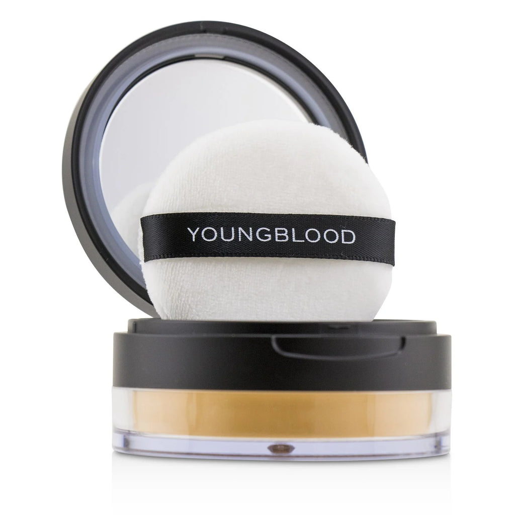 Translucent Mineral Perfecting Powder 10g V4149