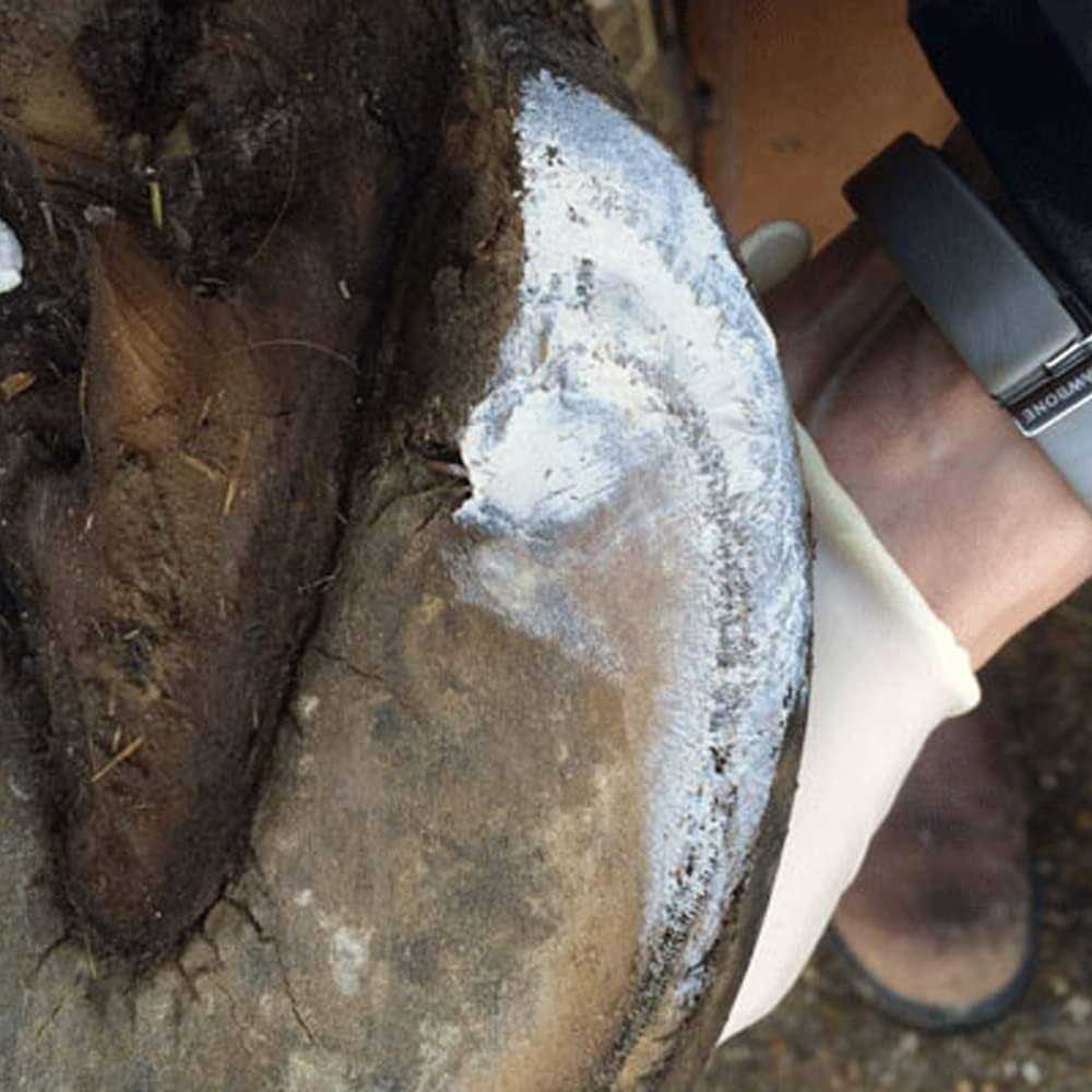 Hoof Clay 750g Y132756