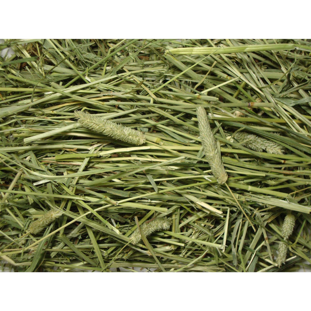 Natural Timothy Hay Pet Supplies Q956