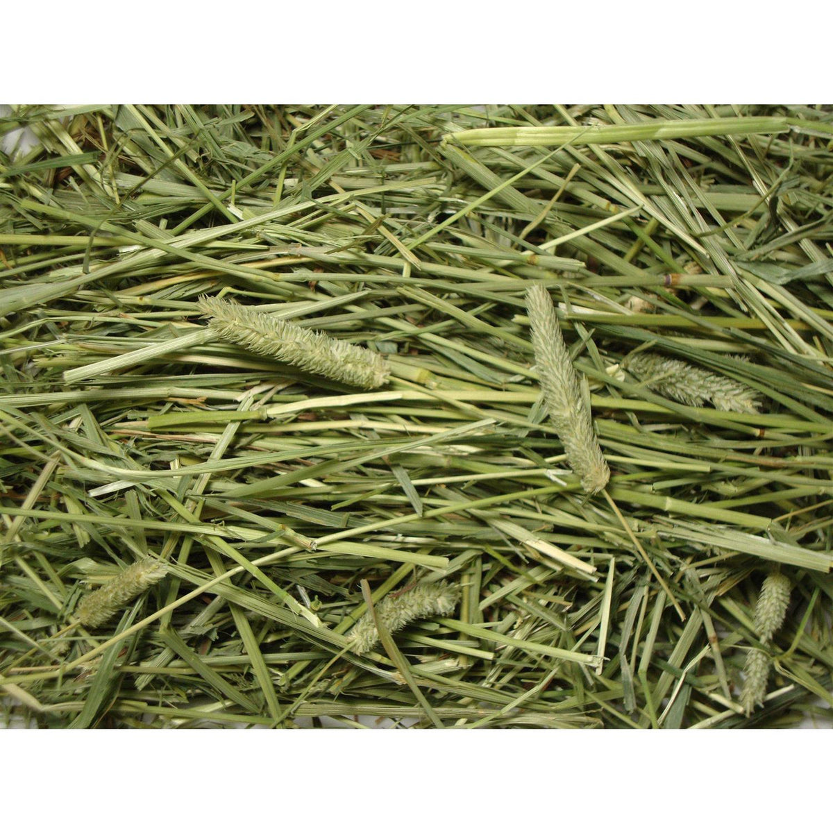 Natural Timothy Hay Pet Supplies Q956
