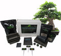 Tropical Indoor Bonsai Tree Starter Seed Kit I235707