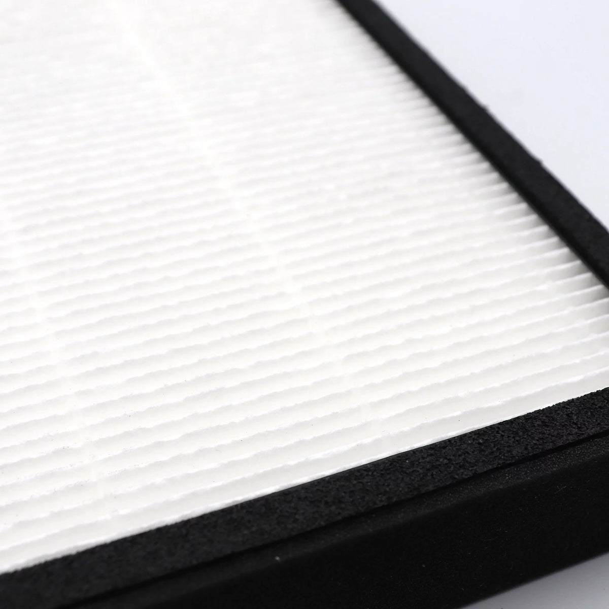 HEPA Carbon Filter Replacement, 2 Pack C63143