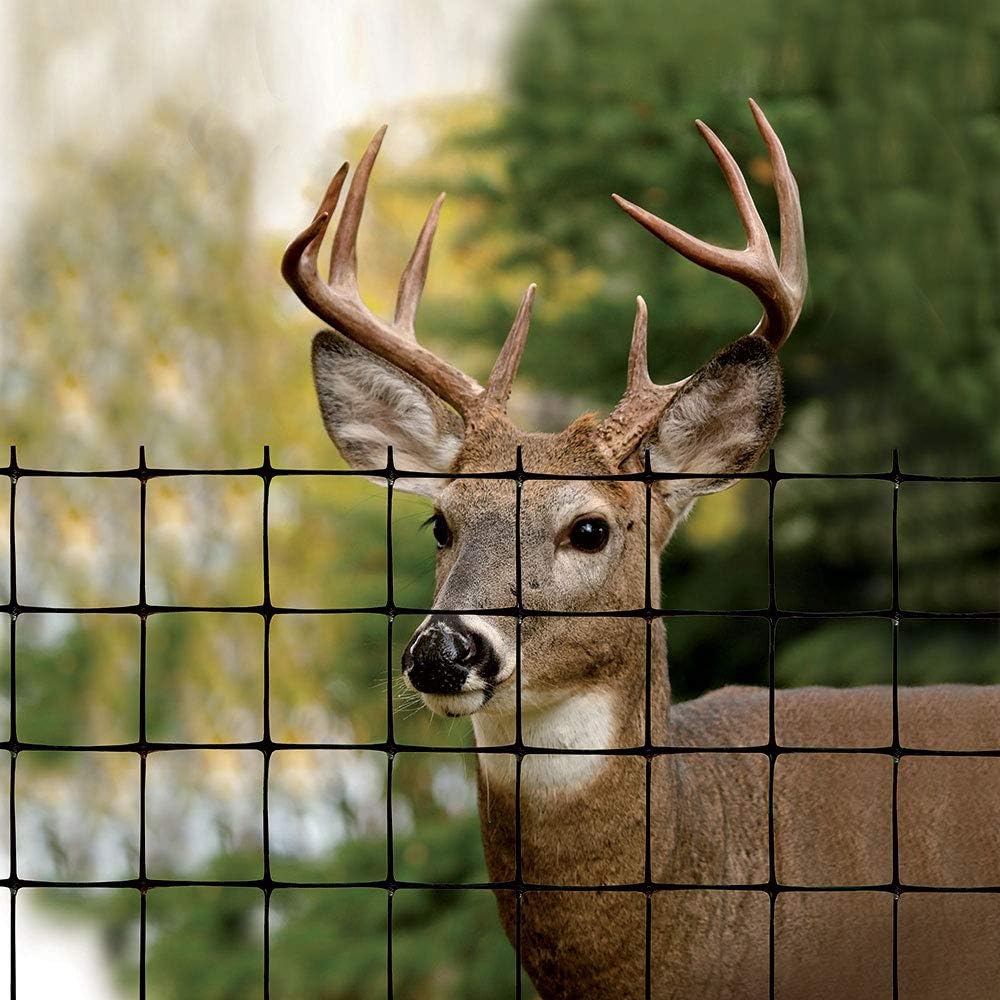 6' X 330' Black Deer Fence R323929