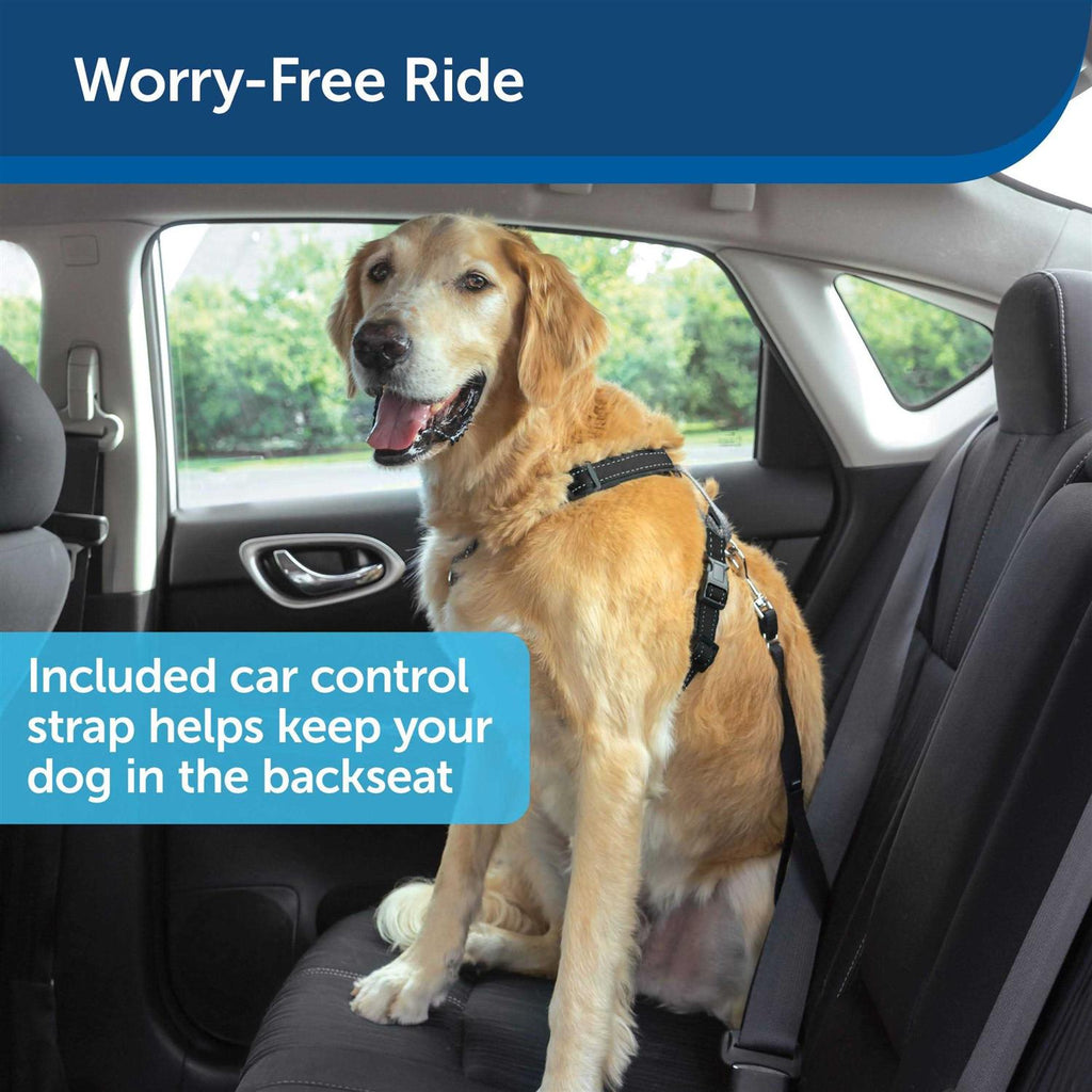 3 in 1 Harness with Leash B818815