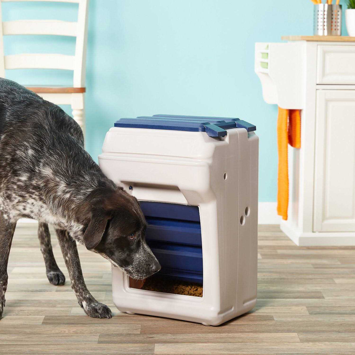 25 Pet Feeder D127