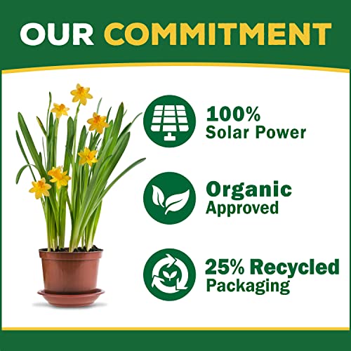 8 Ounce Concentrated Indoor Plant Food Fertilizer I793062