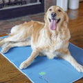 Cool Pet Pad T4406