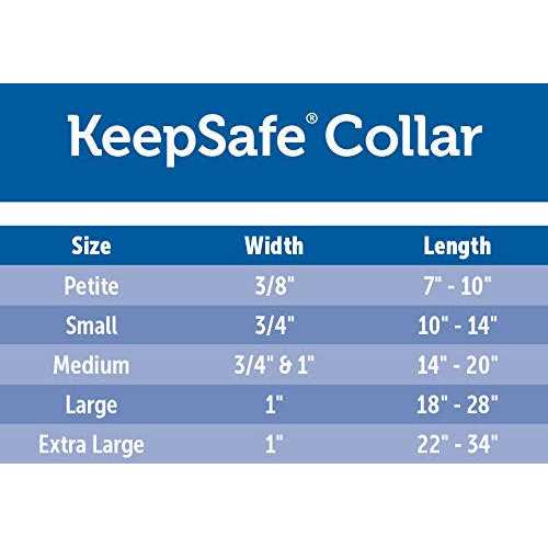 Break-Away Dog Collar Y3625