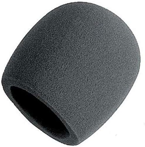 Dynamic Microphone with Foam Windscreen and XLR Cable Y35995