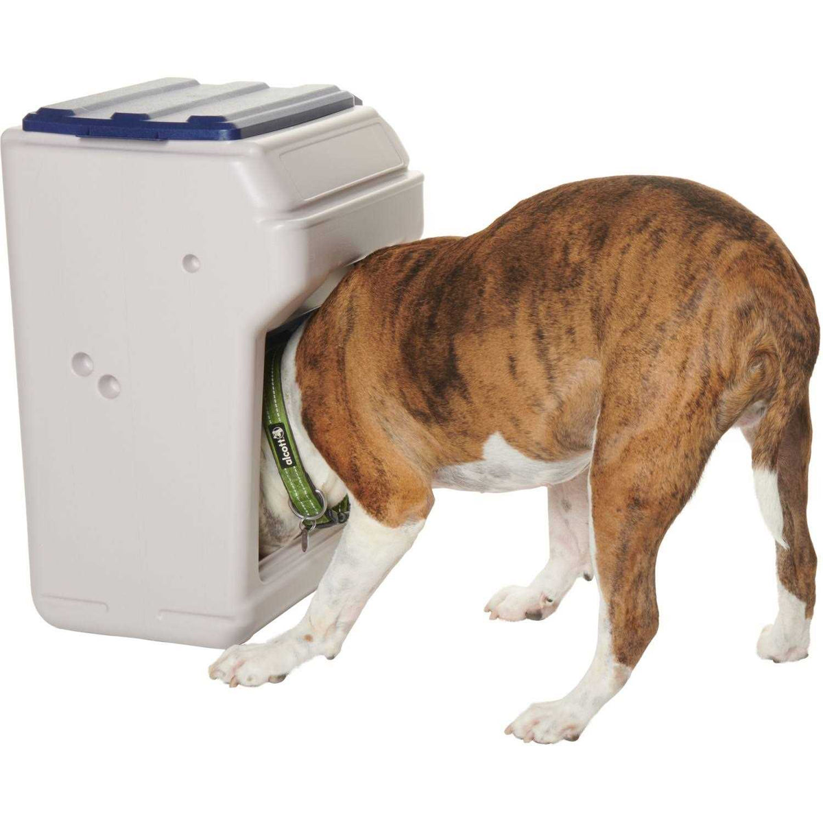 25 Pet Feeder D127